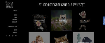ANIMAL FOTO STUDIO